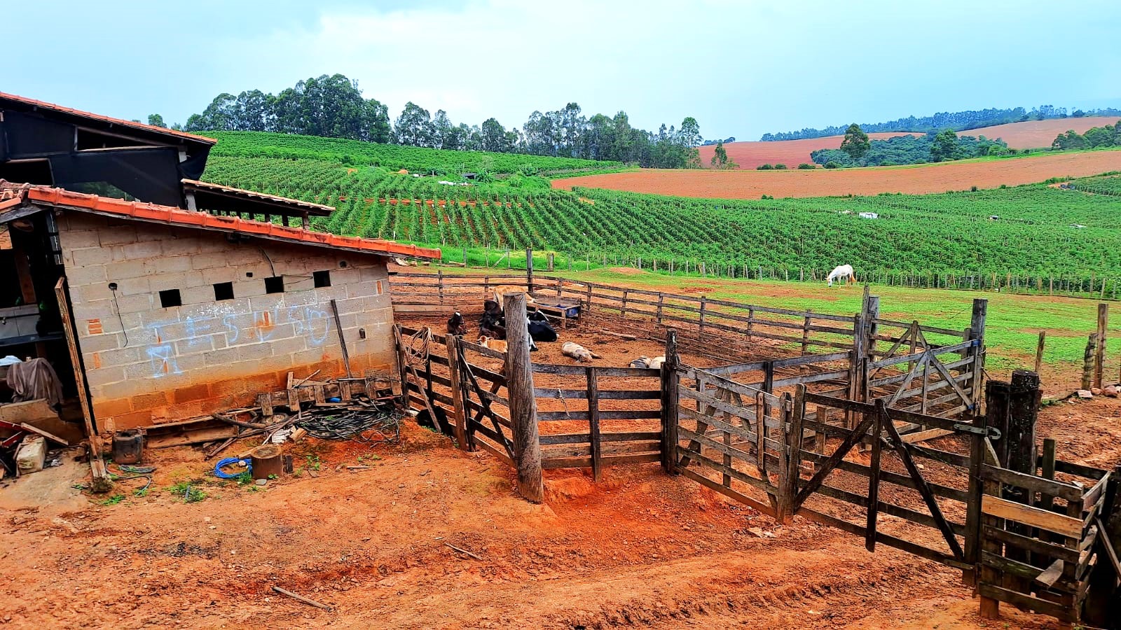 Sítio, 3 quartos, 252 m² - Foto 1