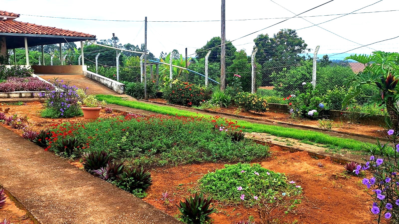 Sítio, 3 quartos, 252 m² - Foto 24