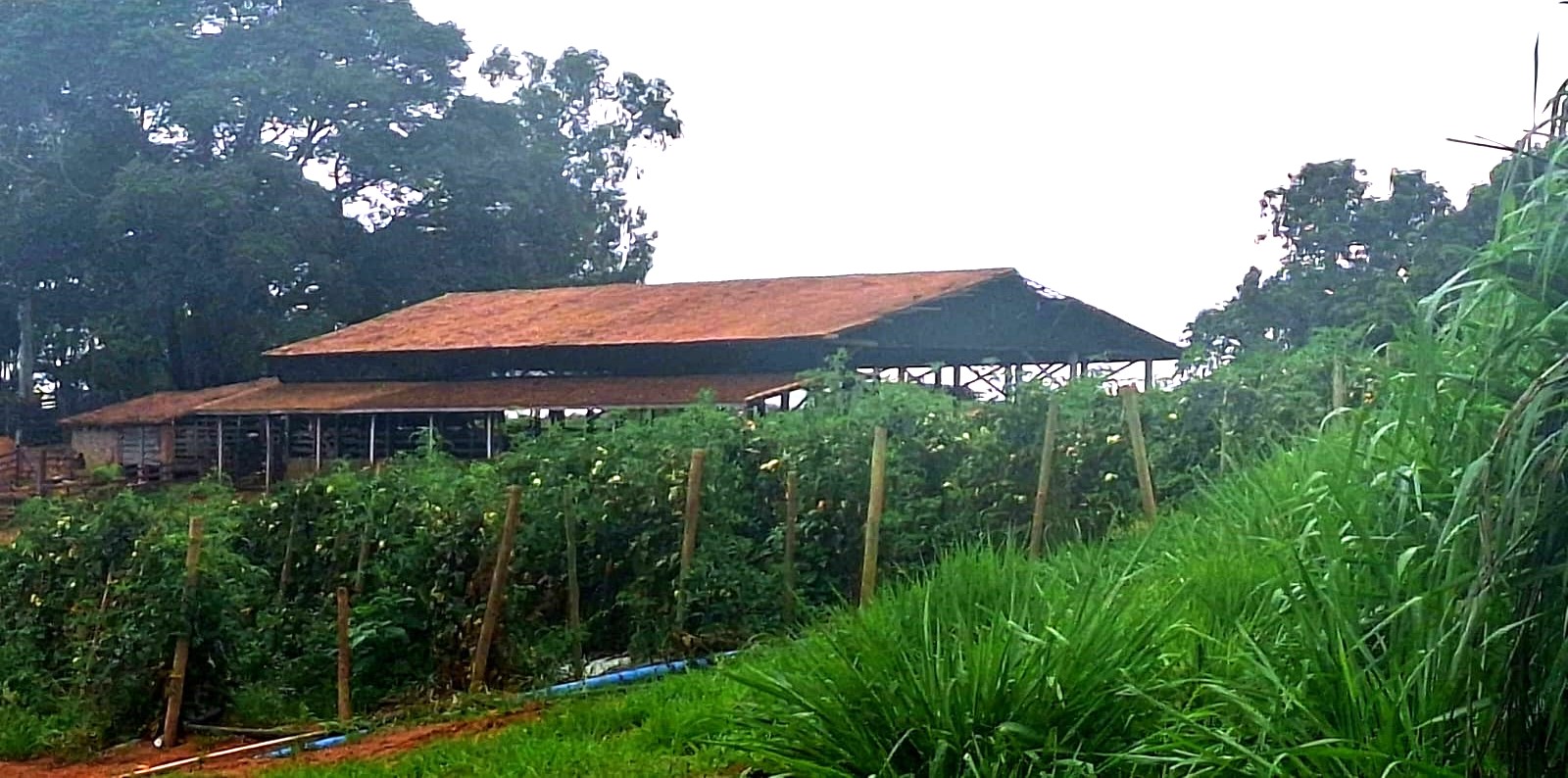 Sítio, 3 quartos, 252 m² - Foto 19