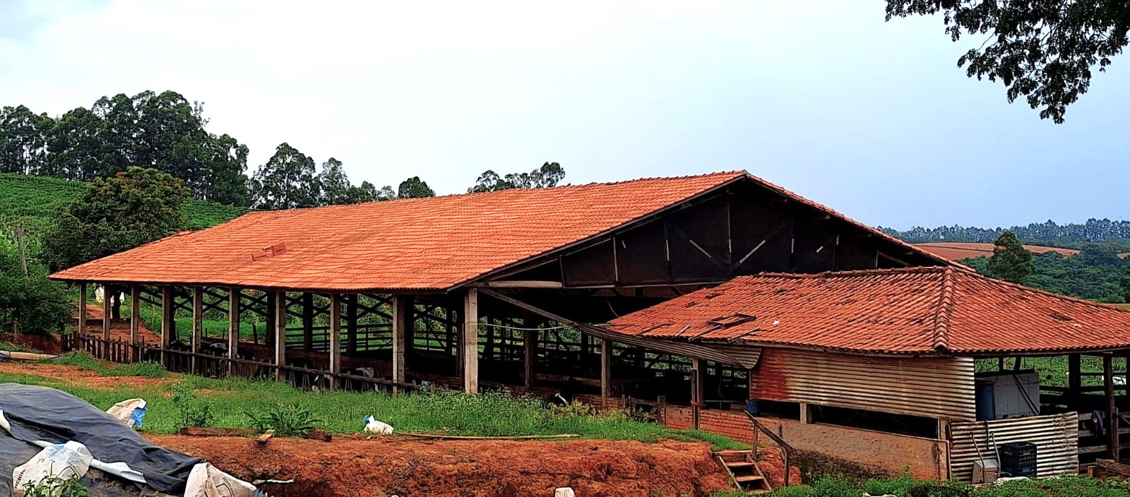 Sítio, 3 quartos, 252 m² - Foto 16