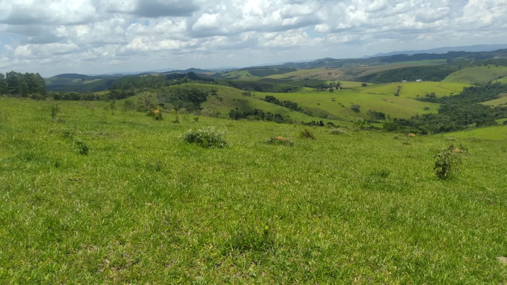 Fazenda, 53 hectares - Foto 23