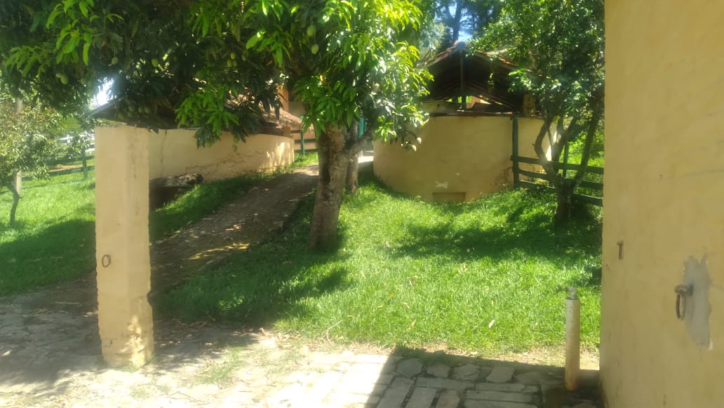 Fazenda, 53 hectares - Foto 20