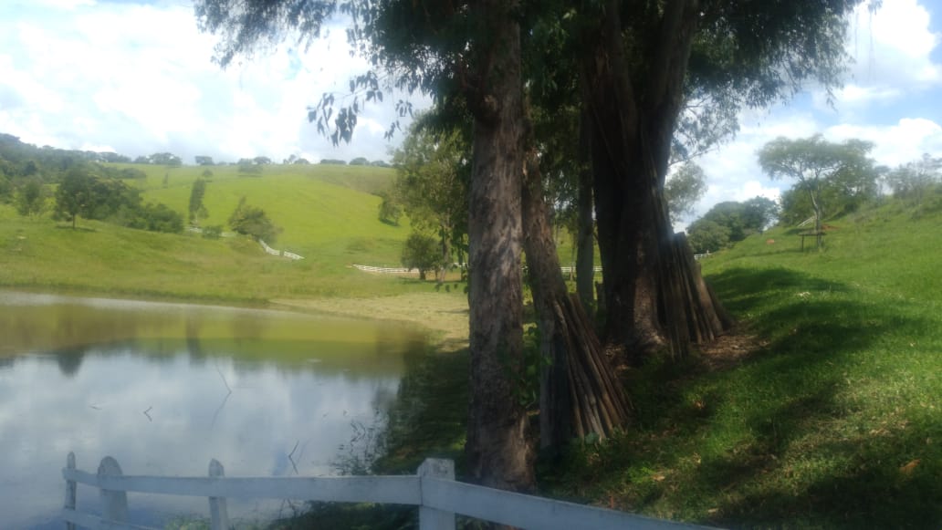 Fazenda, 53 hectares - Foto 10