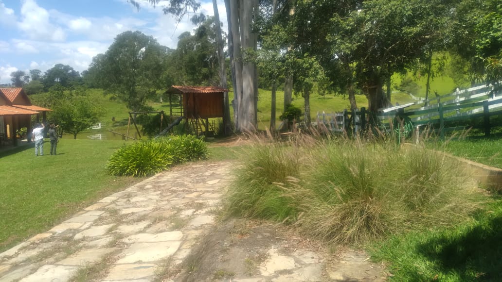 Fazenda, 53 hectares - Foto 14