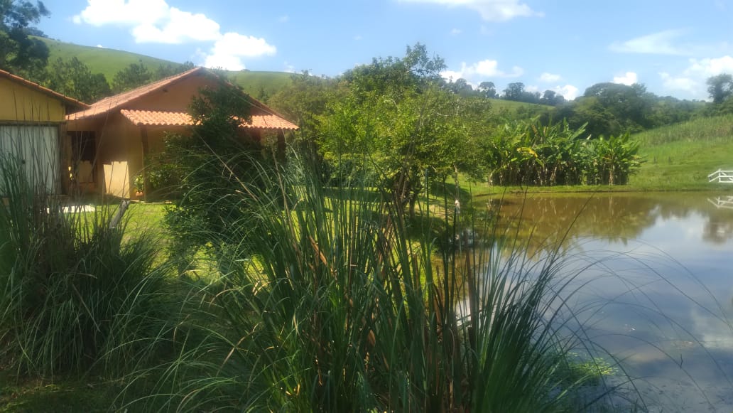 Fazenda, 53 hectares - Foto 7