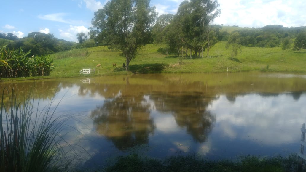 Fazenda, 53 hectares - Foto 12