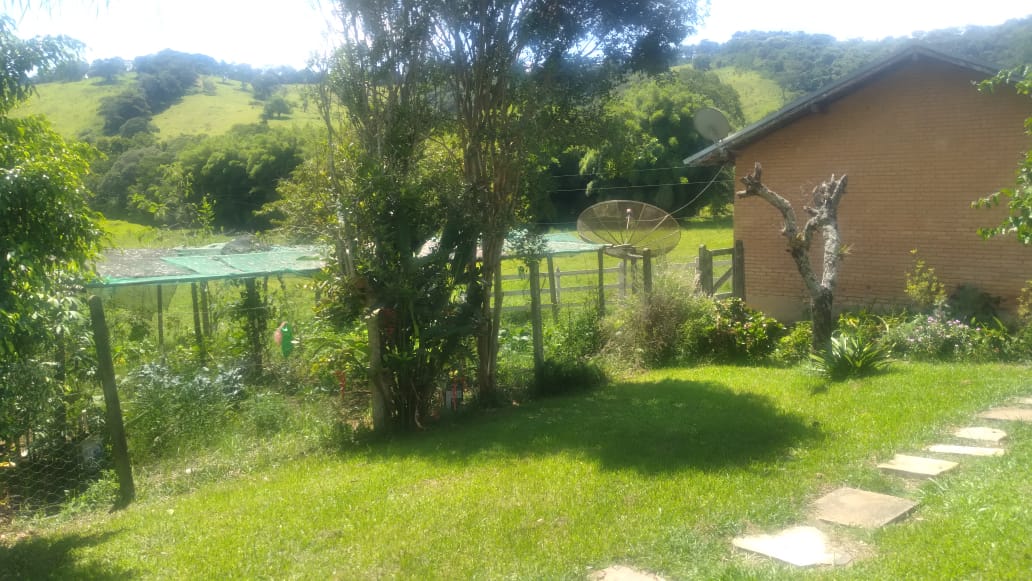 Fazenda, 53 hectares - Foto 8