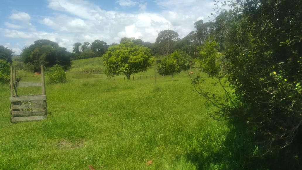 Fazenda, 53 hectares - Foto 24