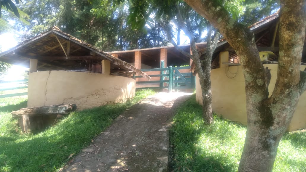 Fazenda, 53 hectares - Foto 16