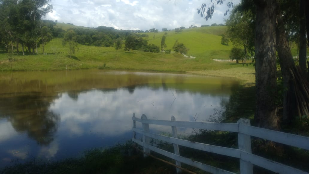 Fazenda, 53 hectares - Foto 11