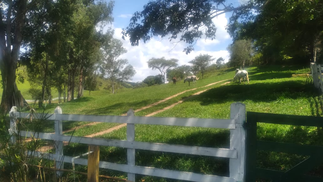 Fazenda, 53 hectares - Foto 13