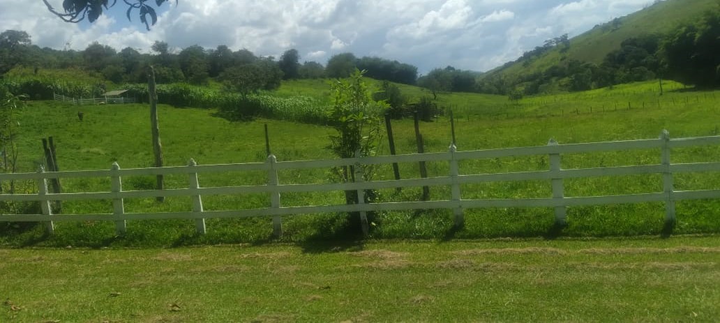 Fazenda, 53 hectares - Foto 25