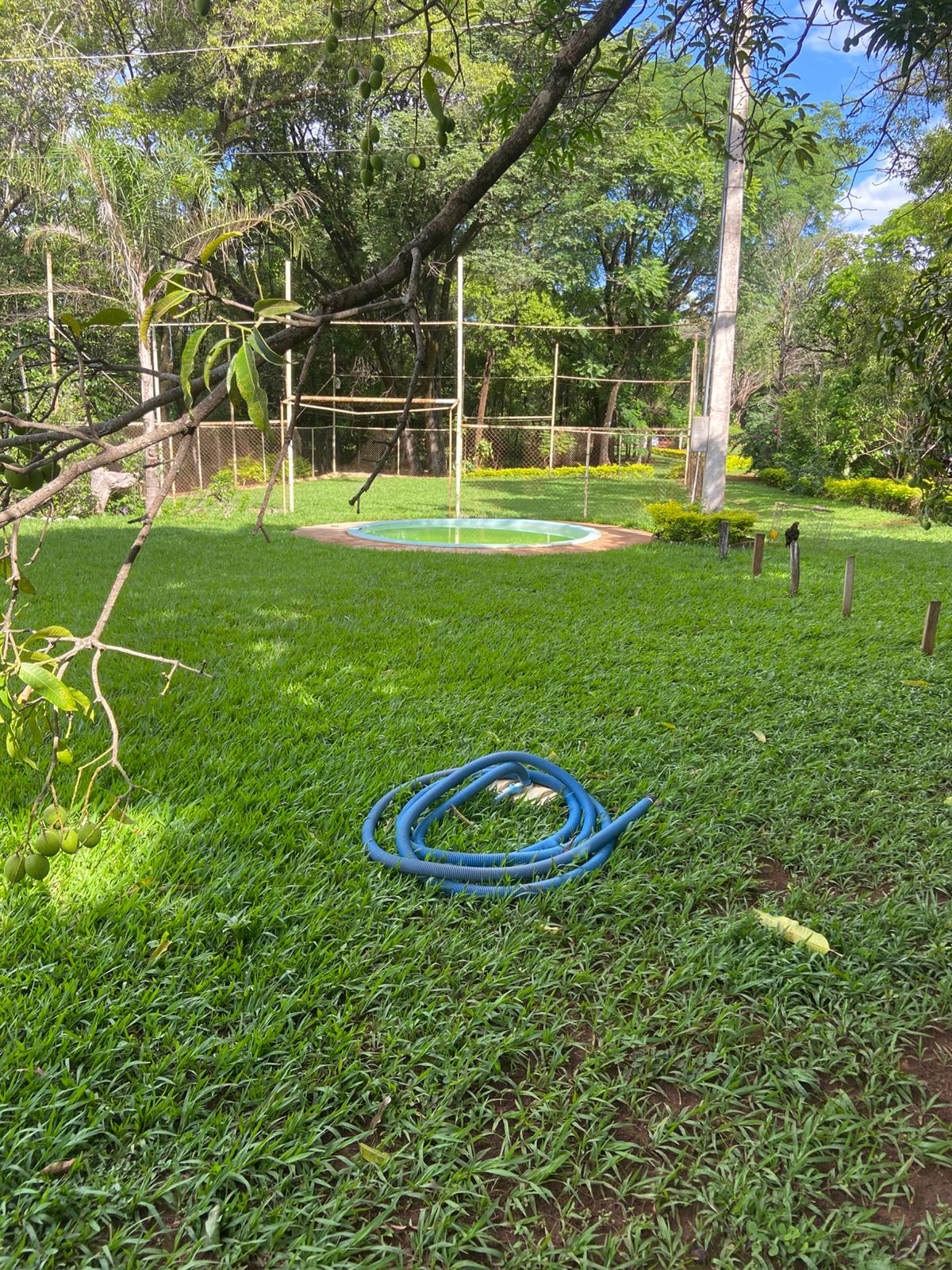 Chácara, 3 quartos, 4 hectares - Foto 9