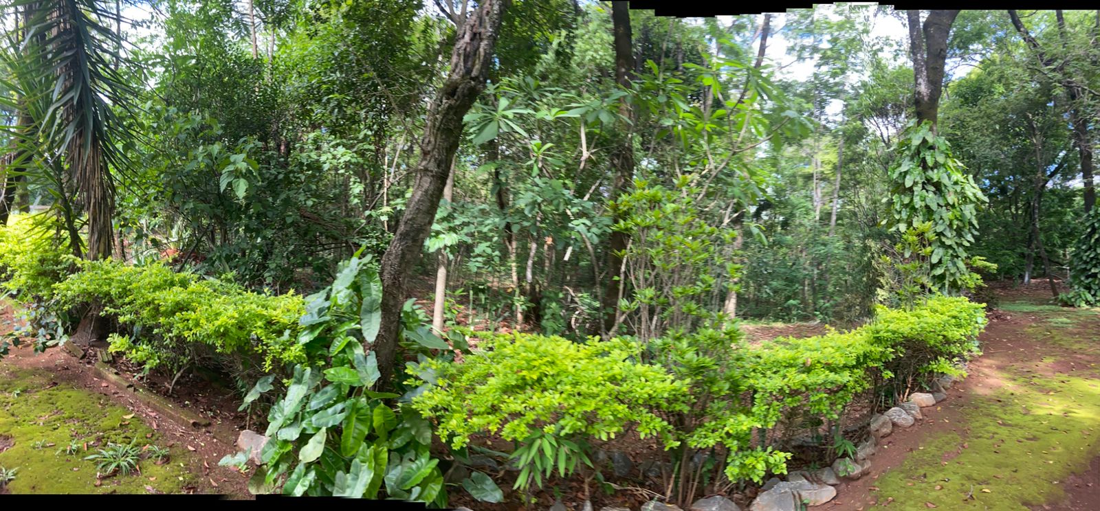 Chácara, 3 quartos, 4 hectares - Foto 8