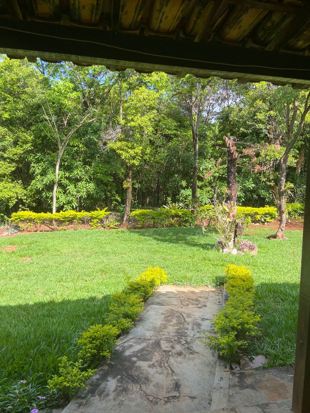 Chácara, 3 quartos, 4 hectares - Foto 7