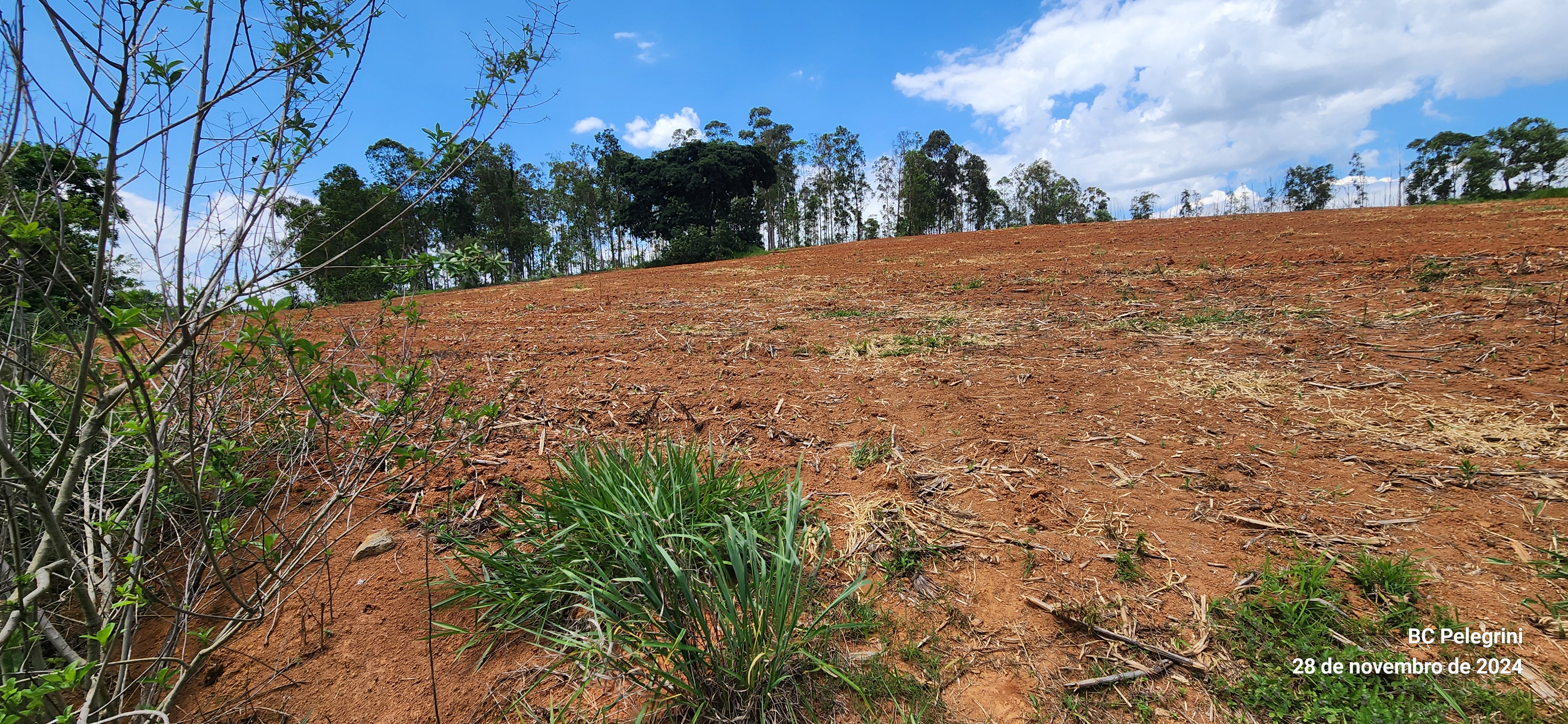 Fazenda, 51 hectares - Foto 1