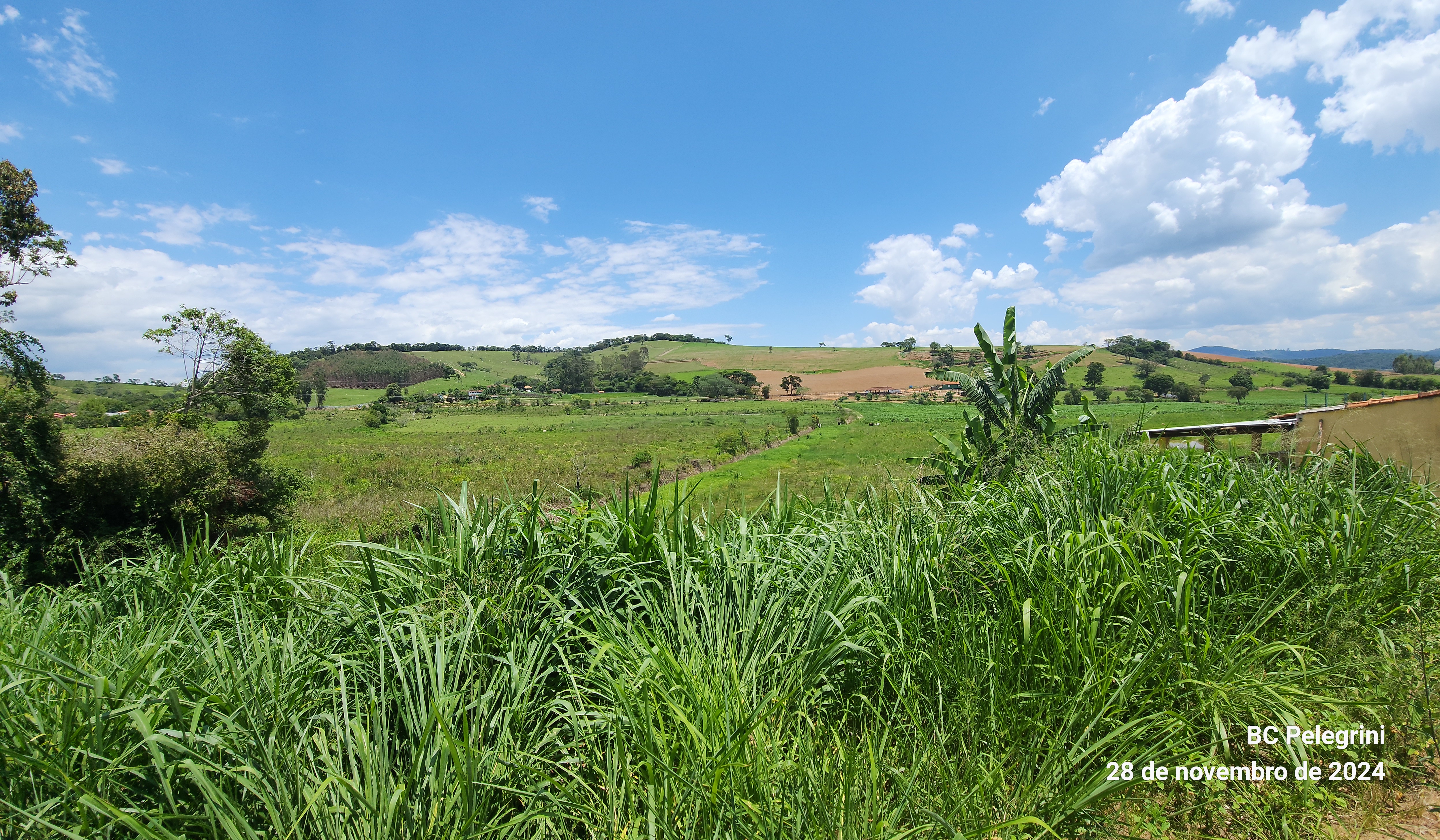 Sítio, 3 quartos, 12 hectares - Foto 5