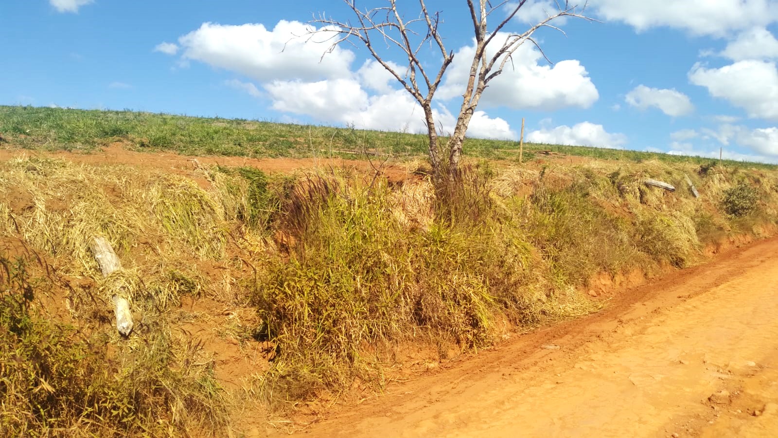 Fazenda, 87 hectares - Foto 13