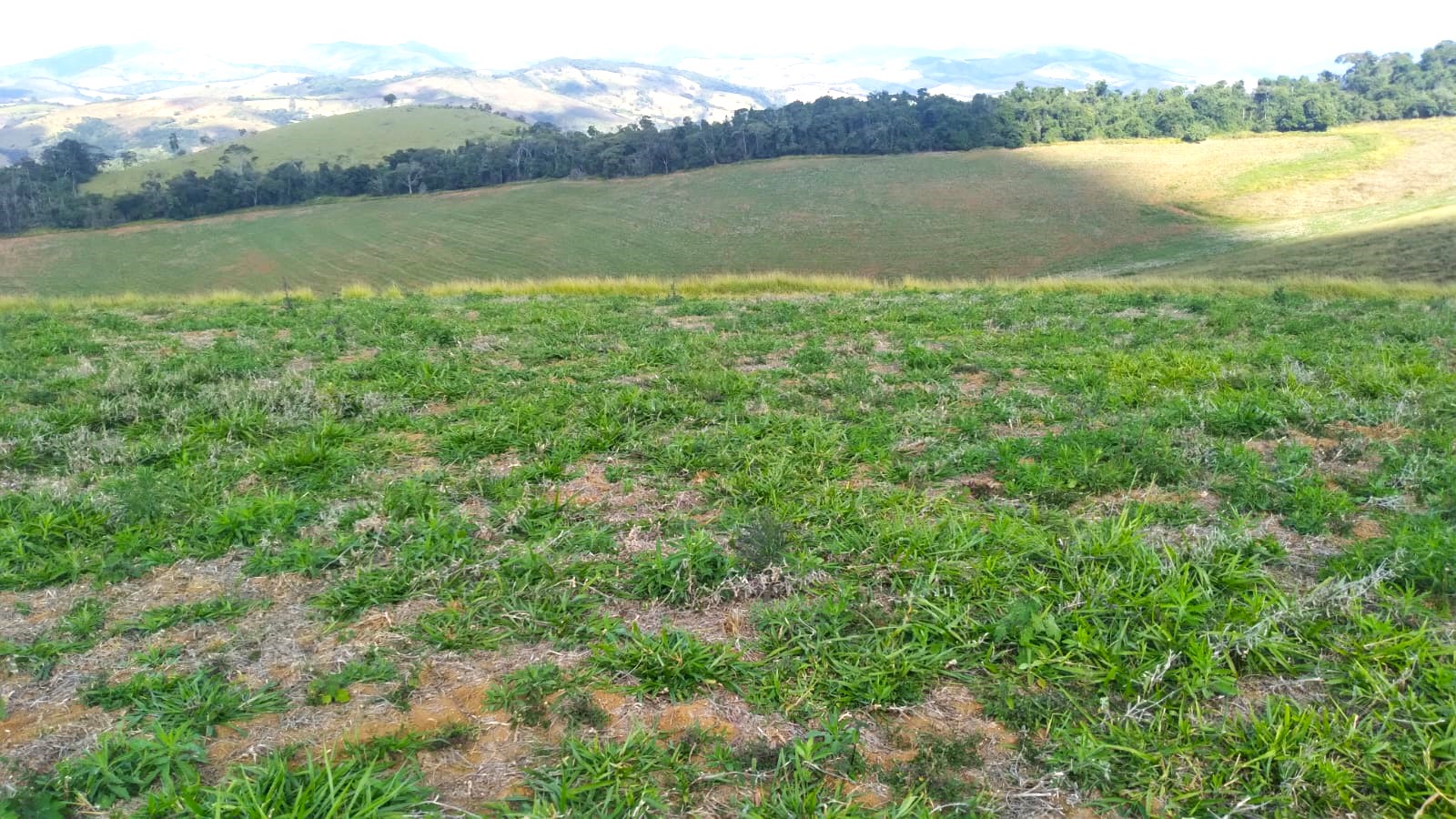 Fazenda, 87 hectares - Foto 11