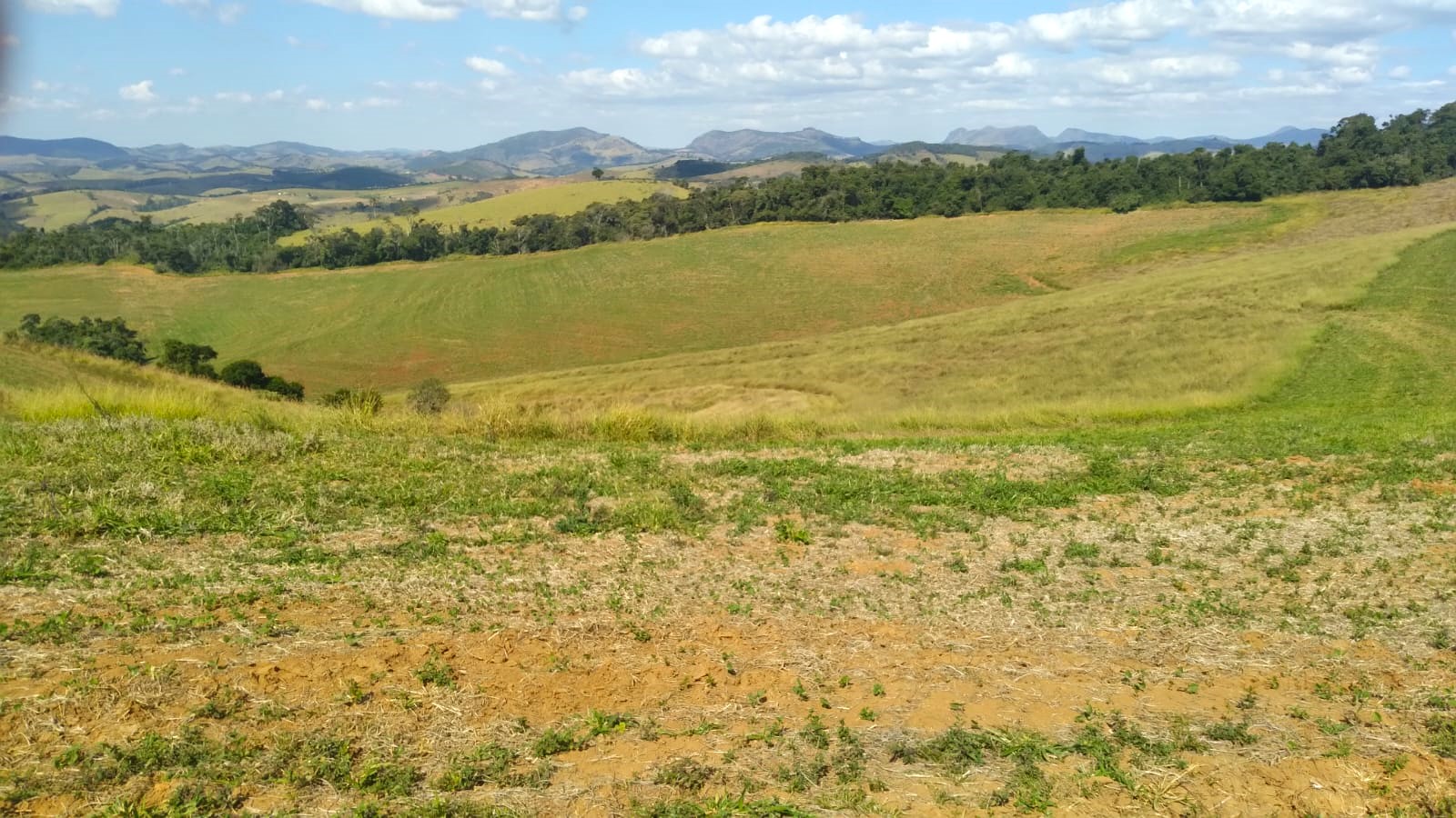 Fazenda, 87 hectares - Foto 9