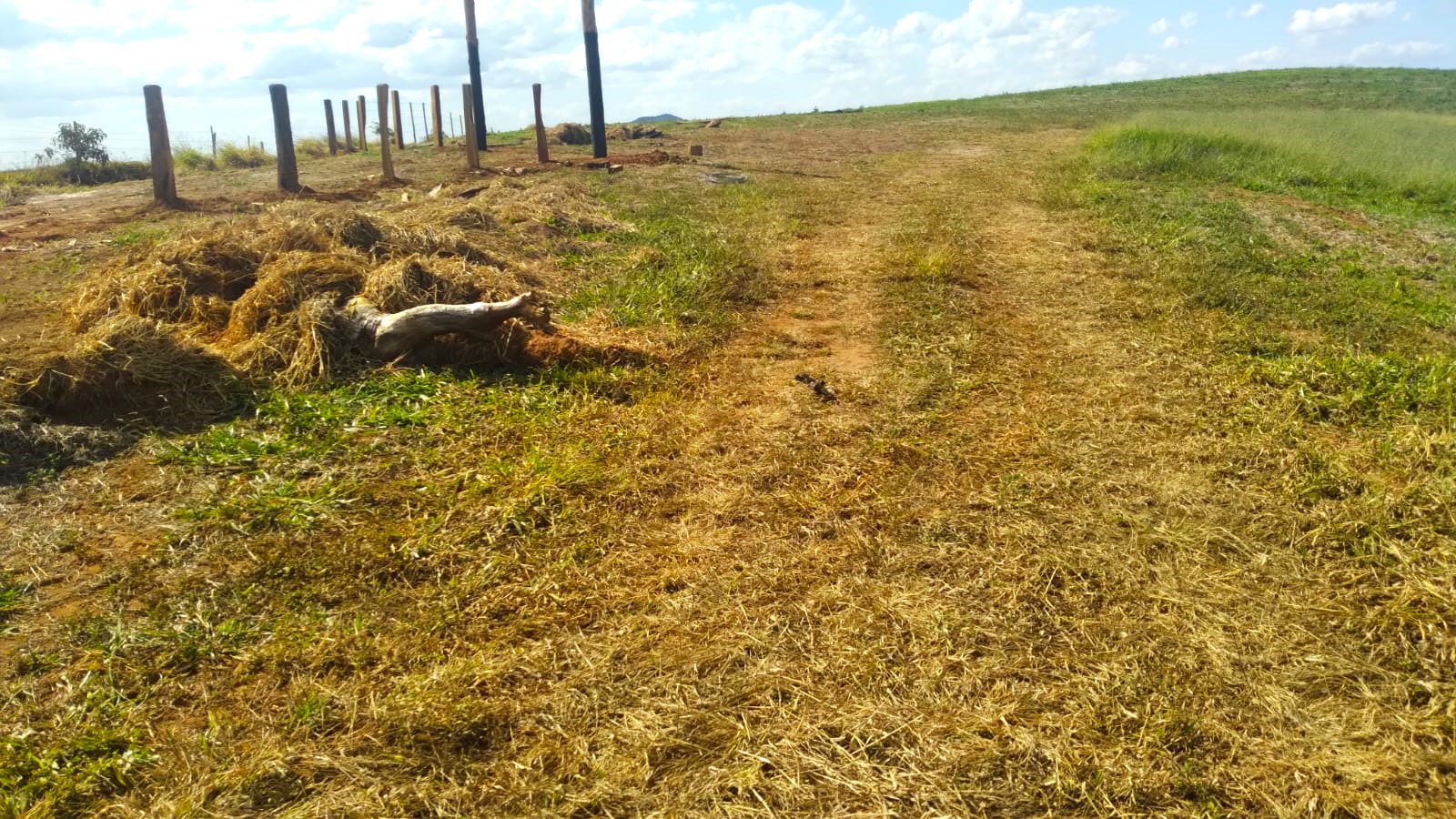 Fazenda, 87 hectares - Foto 10