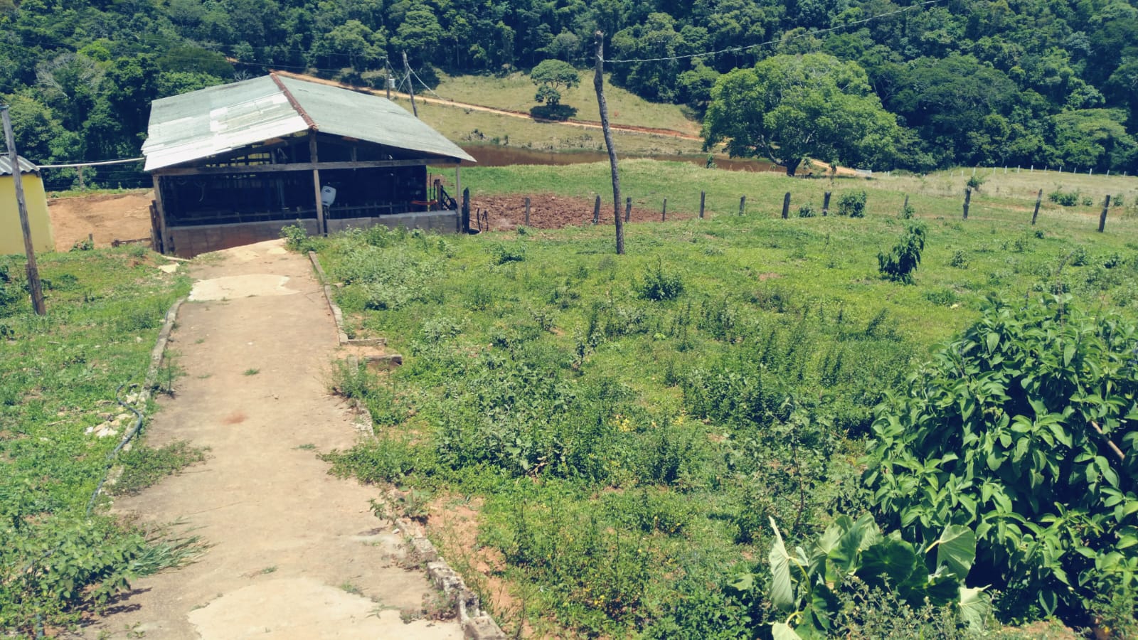 Chácara, 3 quartos, 36 hectares - Foto 10