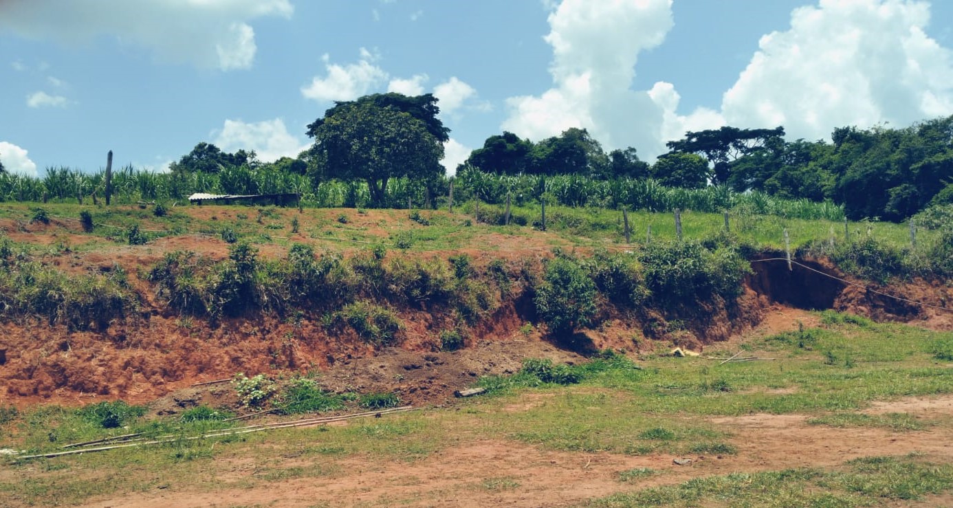 Chácara, 3 quartos, 36 hectares - Foto 15