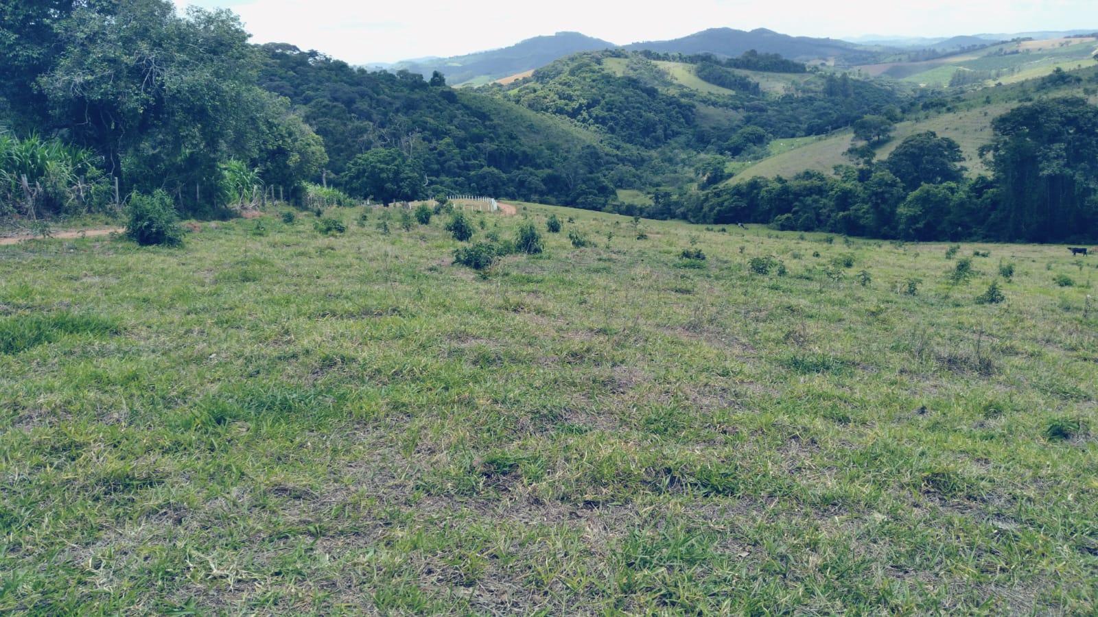 Chácara, 3 quartos, 36 hectares - Foto 6