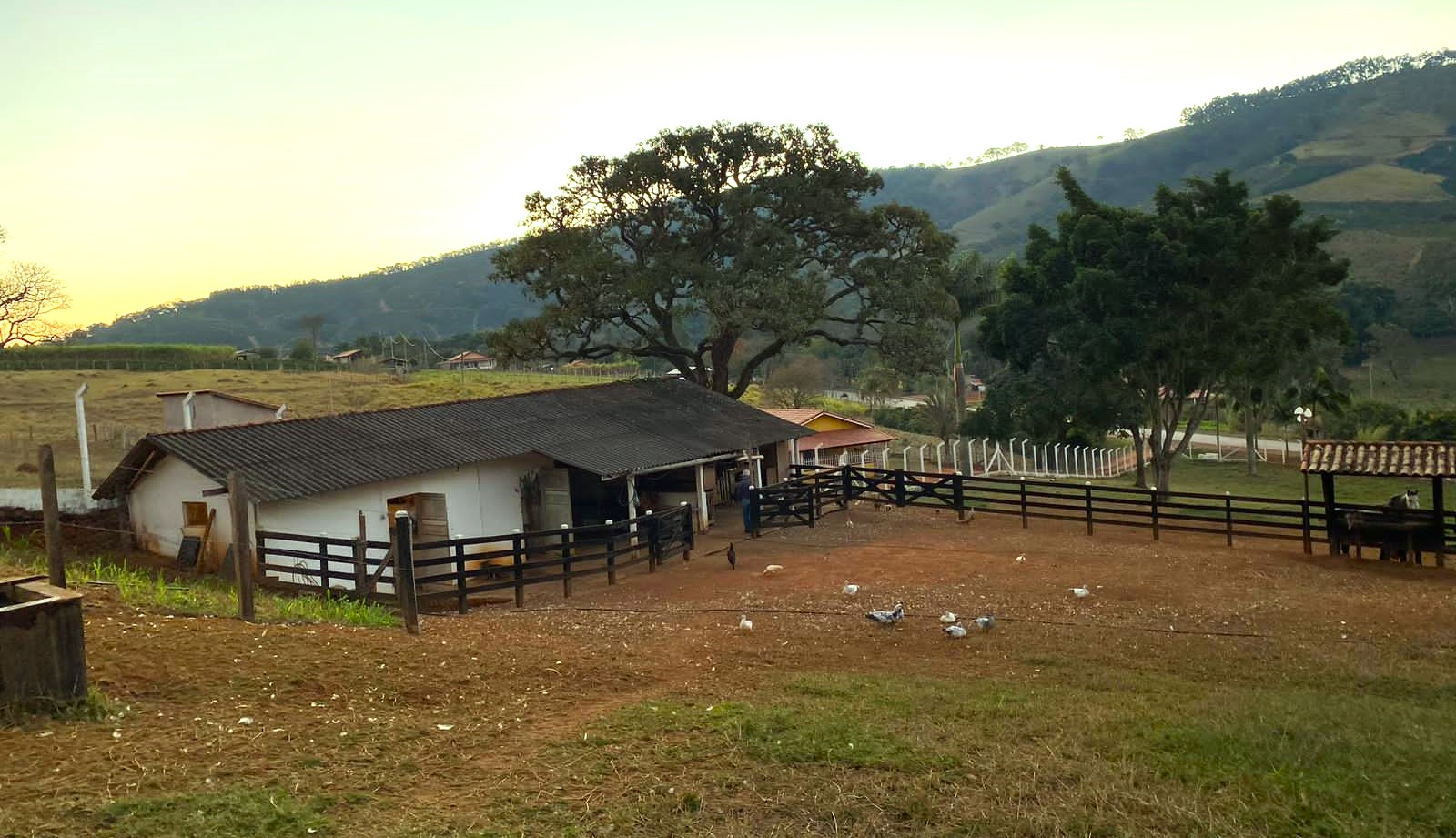 Sítio, 3 quartos, 30 hectares - Foto 20