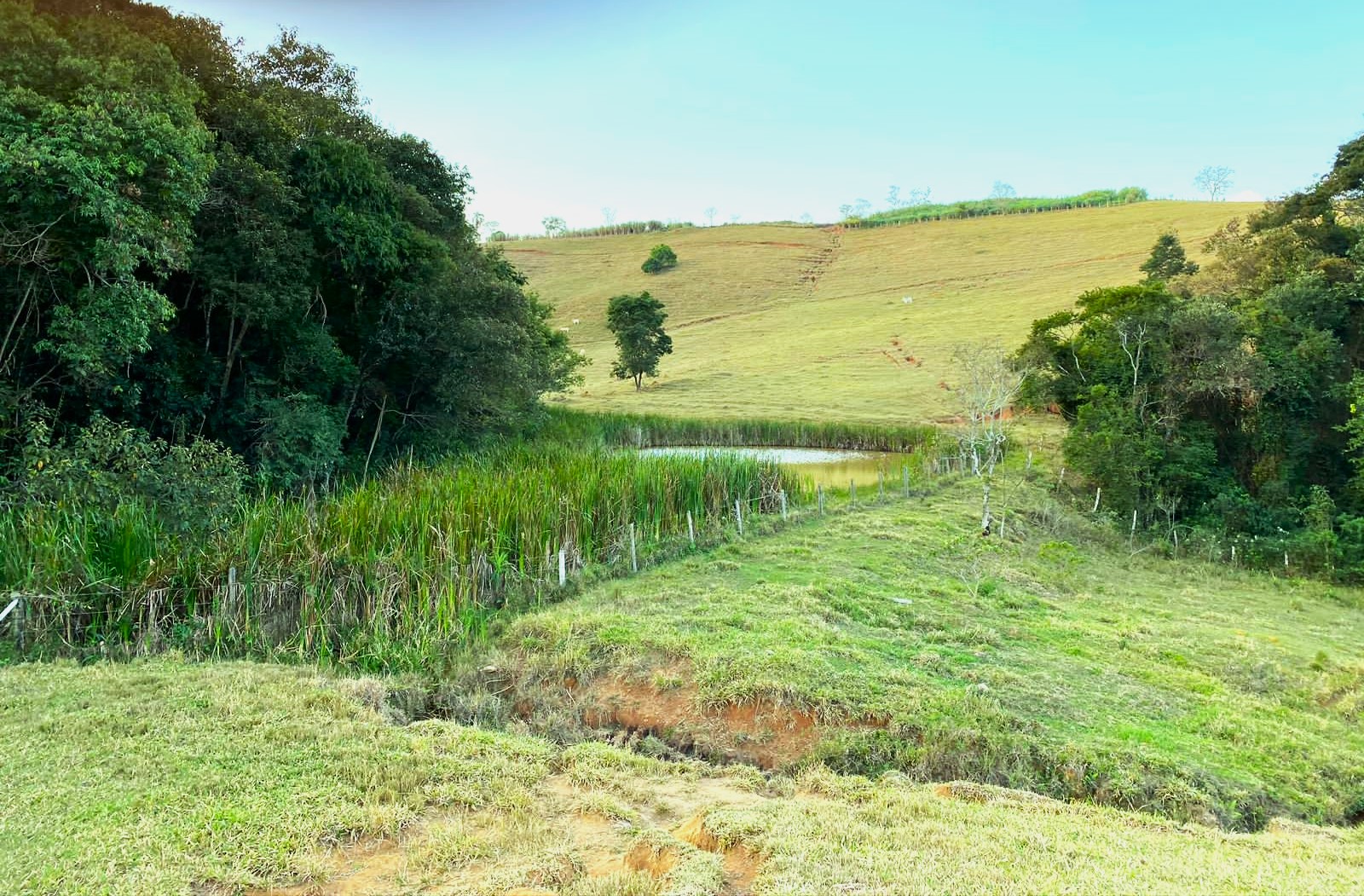 Sítio, 3 quartos, 30 hectares - Foto 1