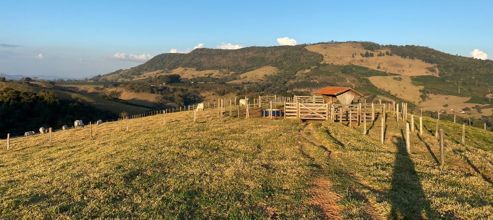 Sítio, 3 quartos, 30 hectares - Foto 15