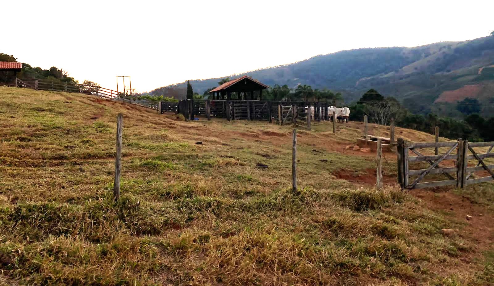 Sítio, 3 quartos, 30 hectares - Foto 5