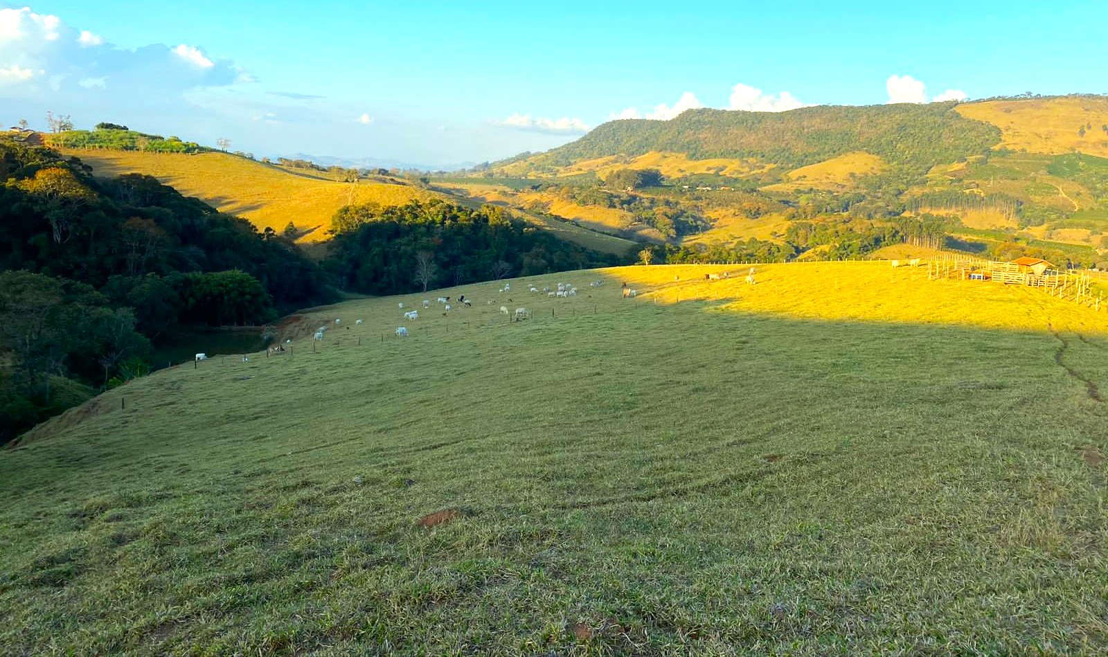 Sítio, 3 quartos, 30 hectares - Foto 13