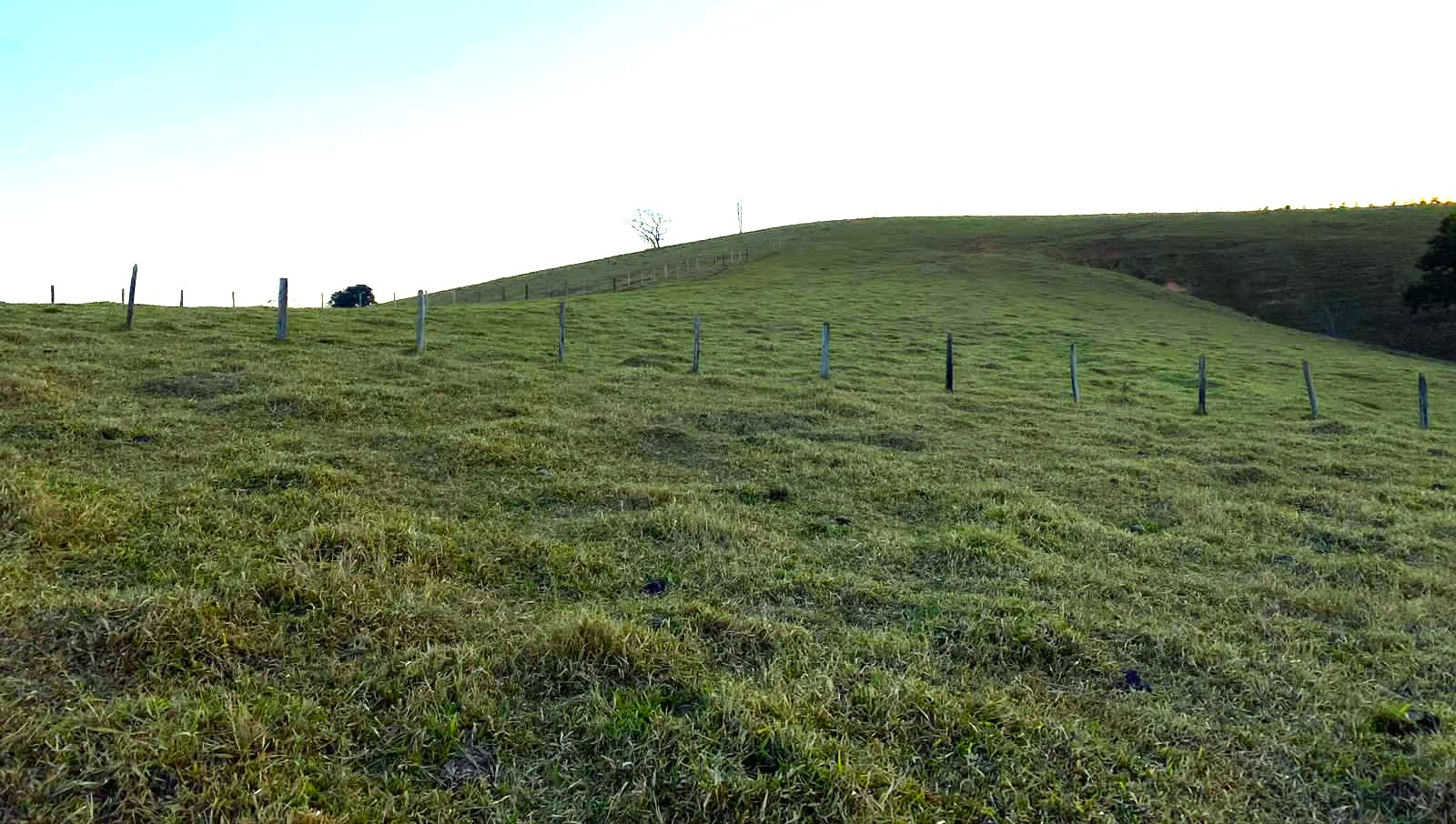 Sítio, 3 quartos, 30 hectares - Foto 11