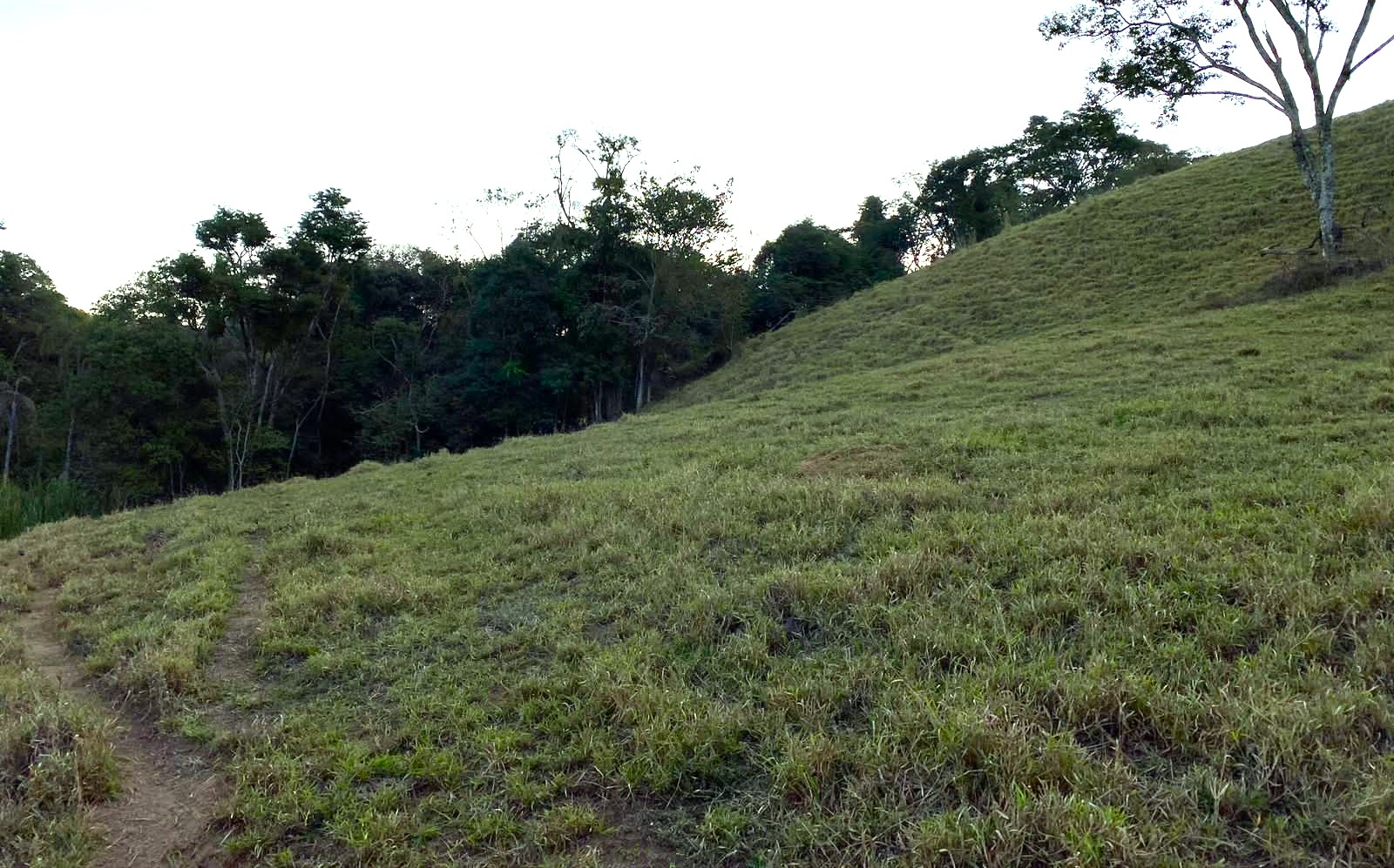 Sítio, 3 quartos, 30 hectares - Foto 6