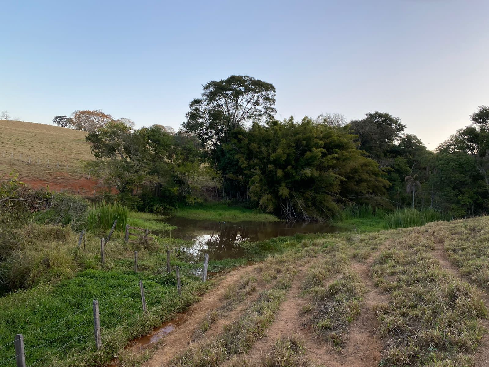 Sítio, 3 quartos, 30 hectares - Foto 14