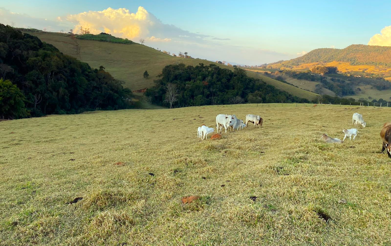 Sítio, 3 quartos, 30 hectares - Foto 2
