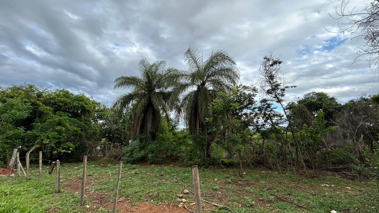 Terreno, 2 hectares - Foto 7