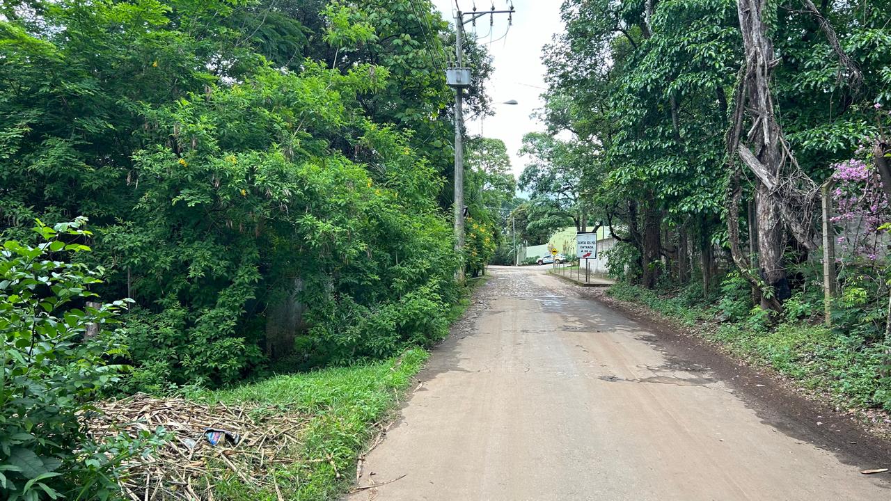 Terreno, 2 hectares - Foto 16