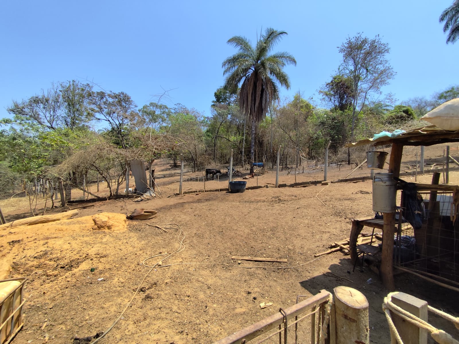 Terreno, 2 hectares - Foto 3