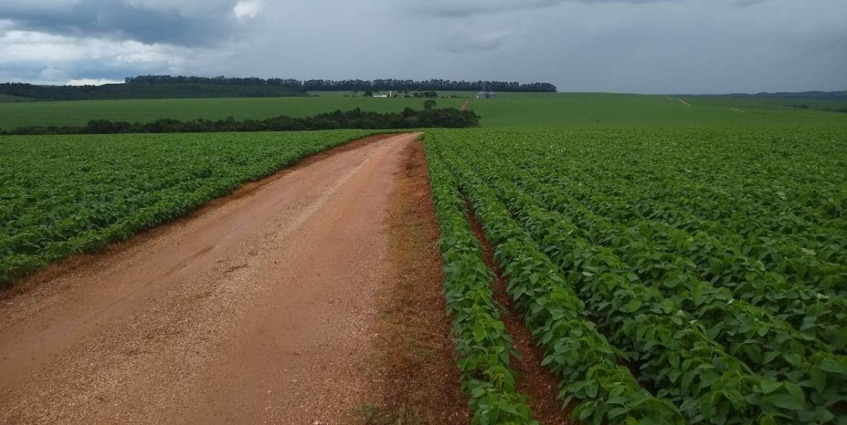 Fazenda, 1480 hectares - Foto 18