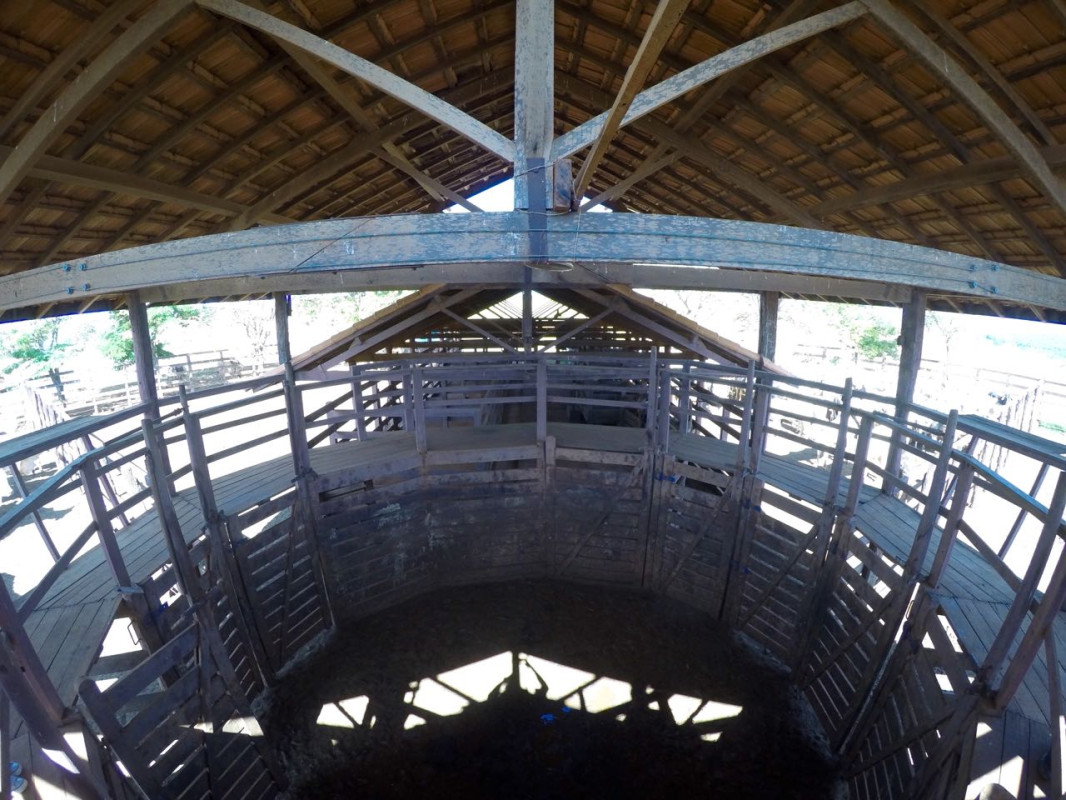 Fazenda, 1480 hectares - Foto 24