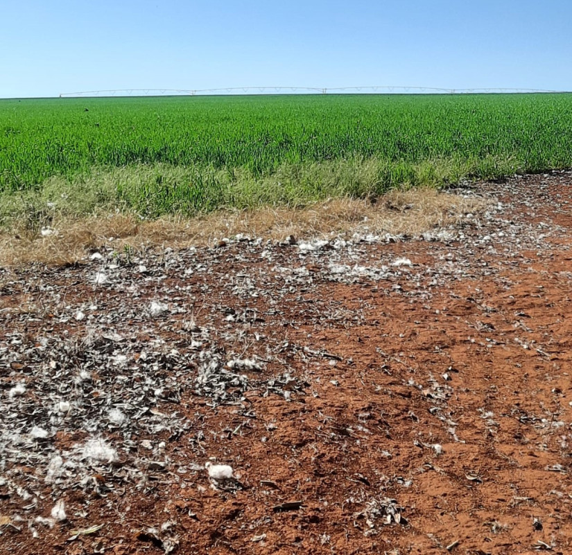 Fazenda, 1480 hectares - Foto 20