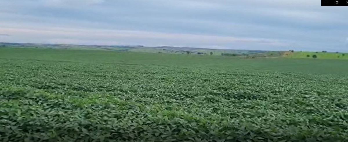 Fazenda, 1480 hectares - Foto 2