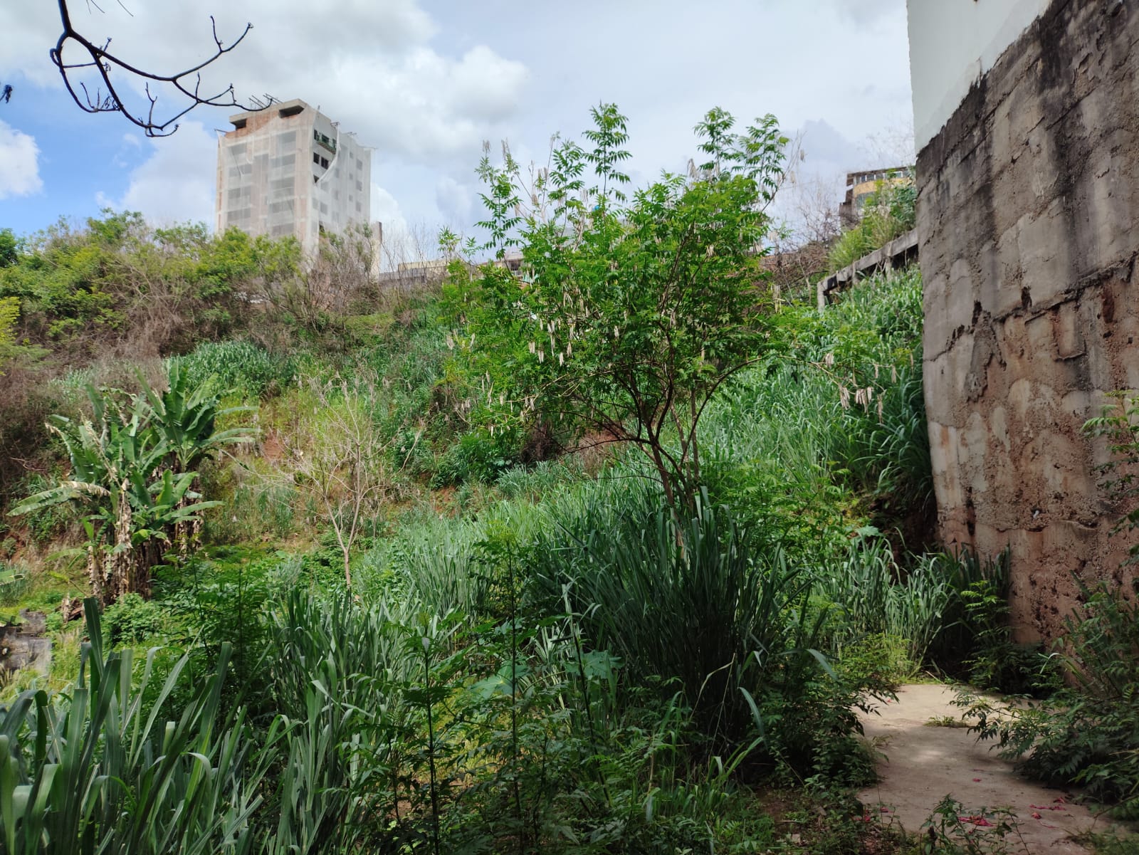 Terreno, 350 m² - Foto 5