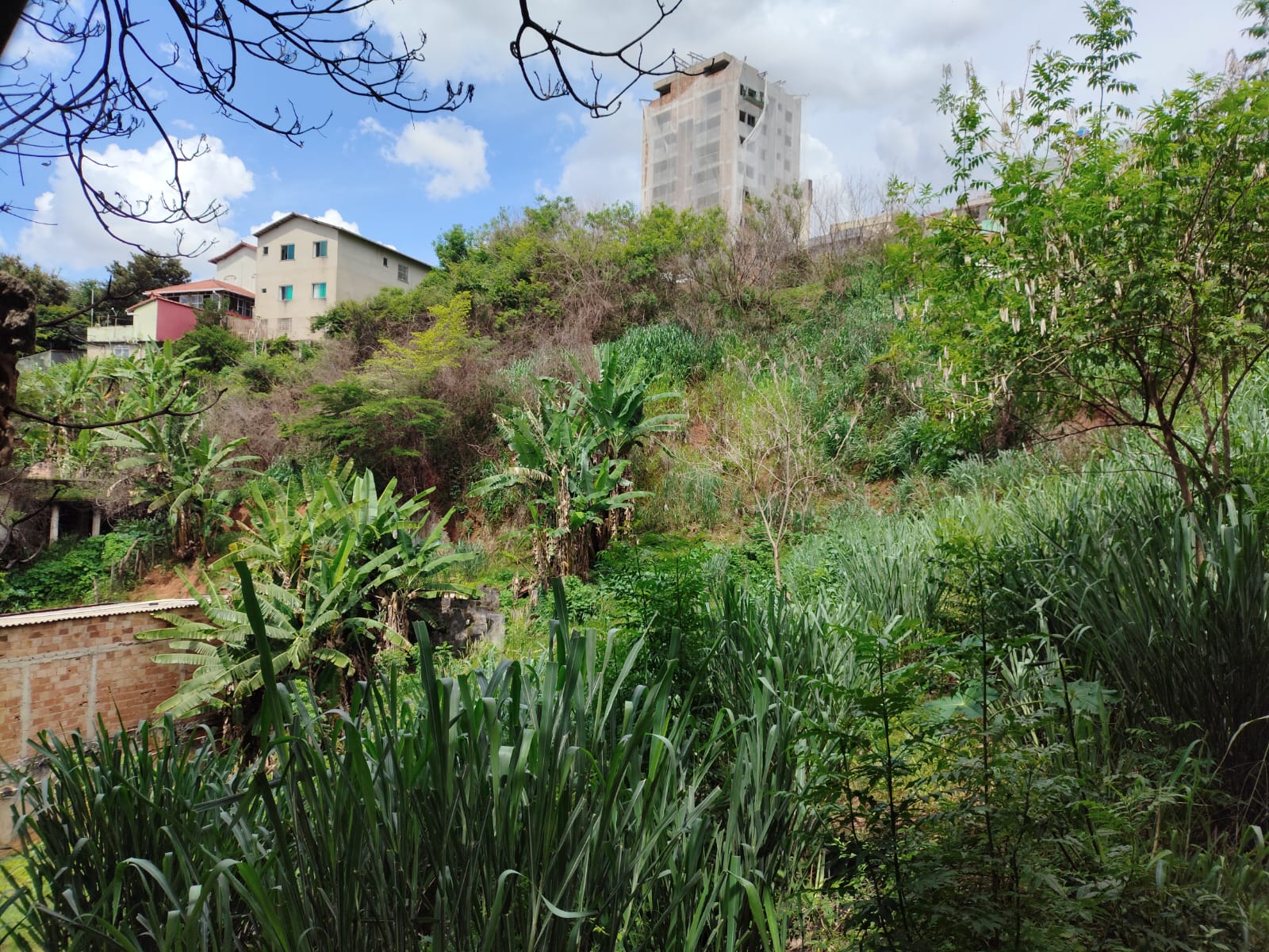 Terreno, 350 m² - Foto 4