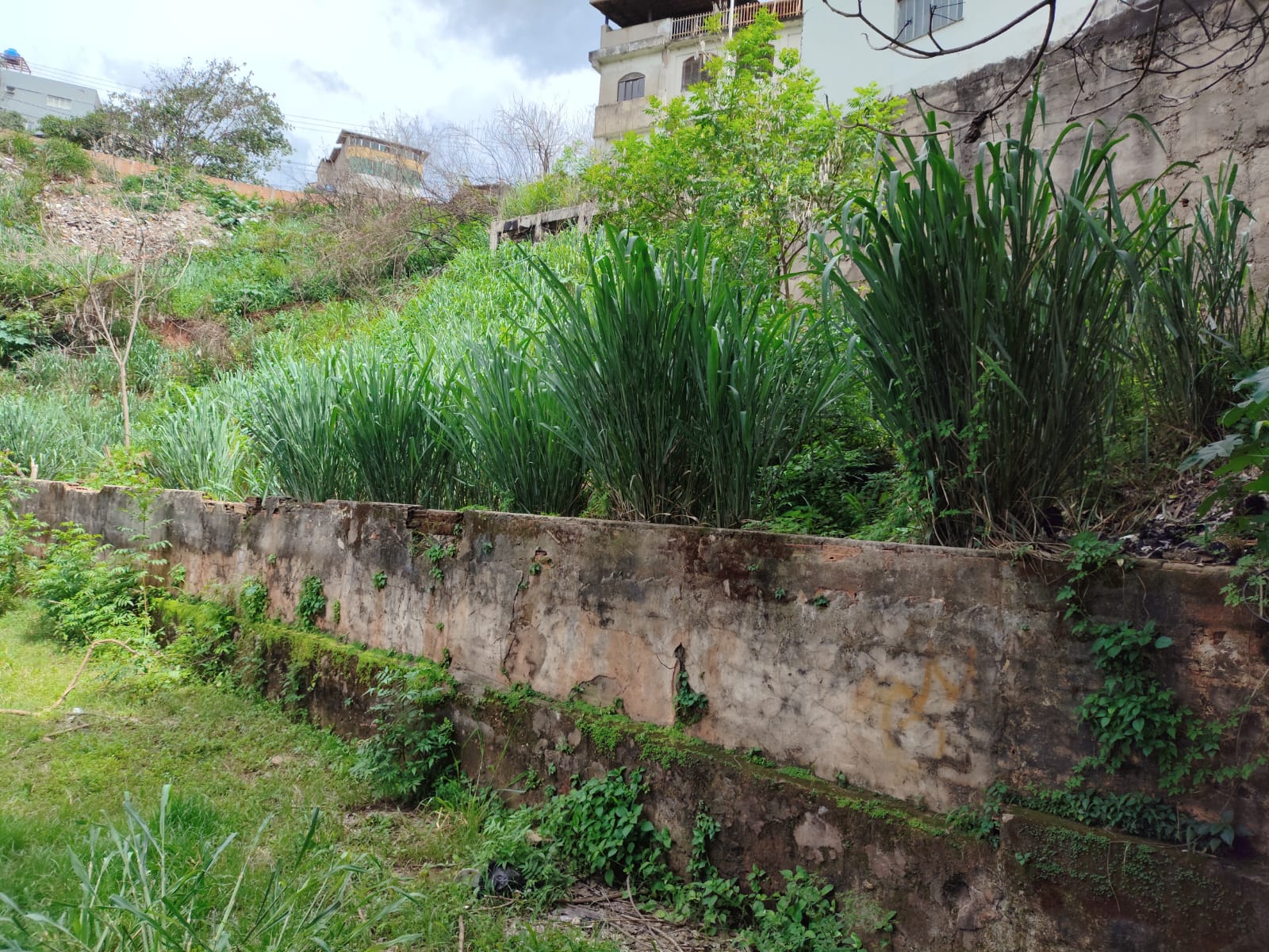 Terreno, 350 m² - Foto 3