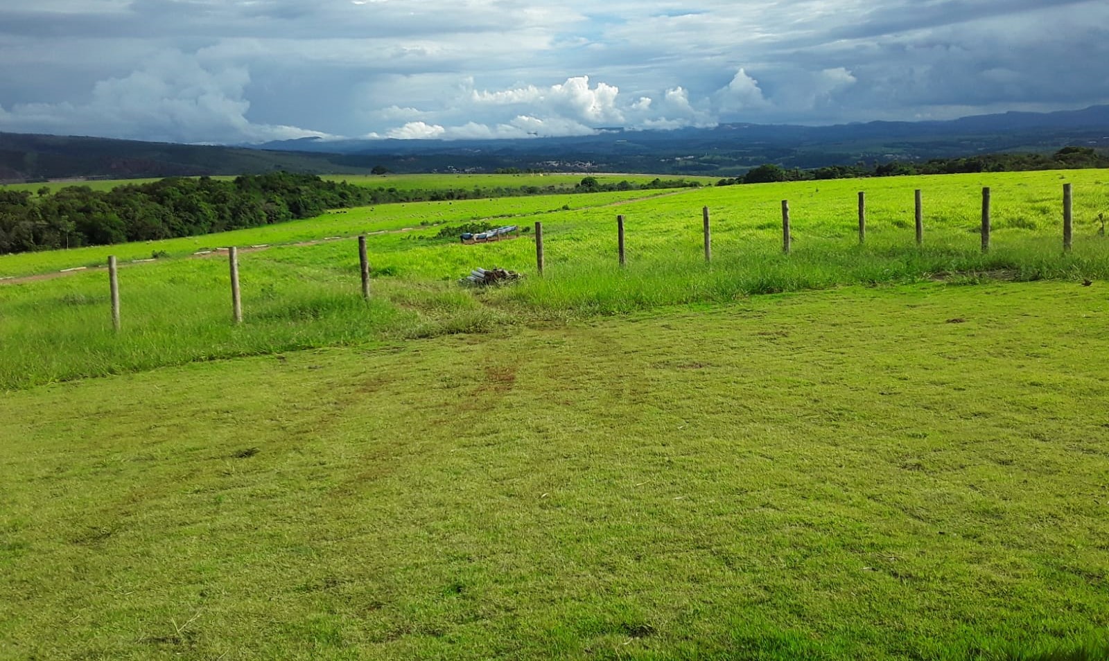 Fazenda, 239 hectares - Foto 1