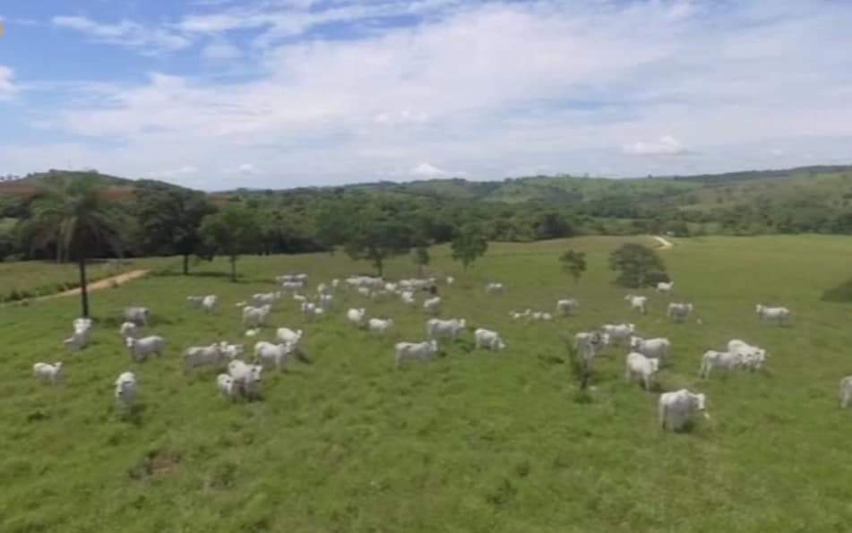 Fazenda, 239 hectares - Foto 2