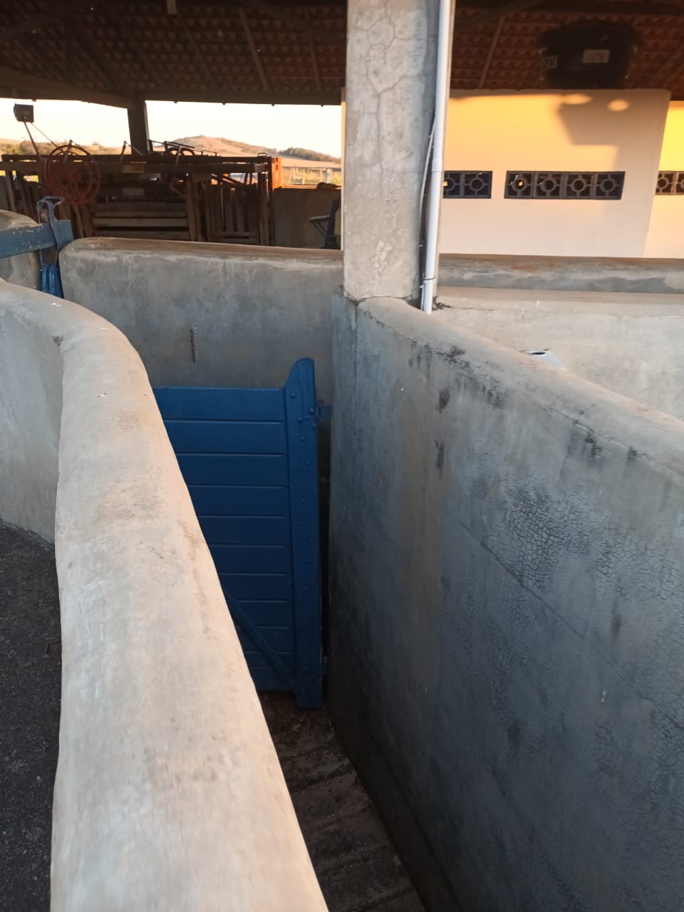 Fazenda, 239 hectares - Foto 11